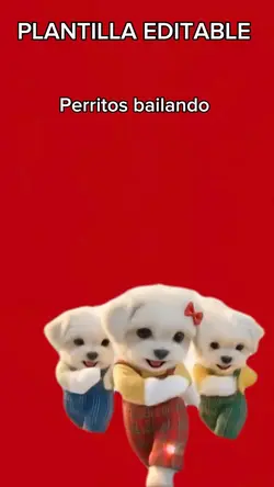 Perritos bailando