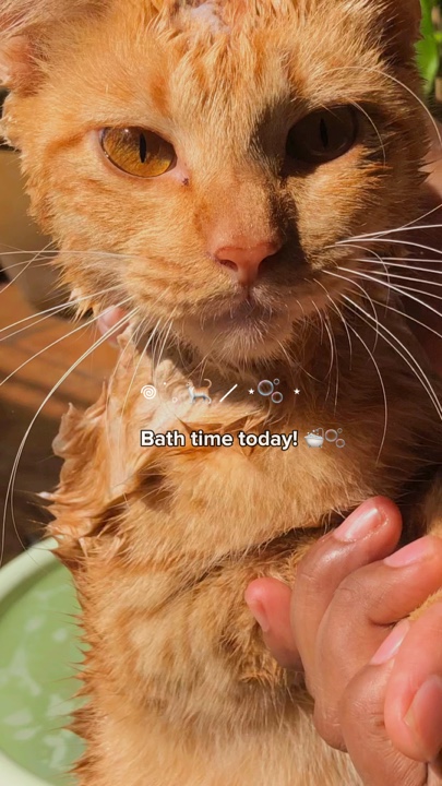Bath time today! 