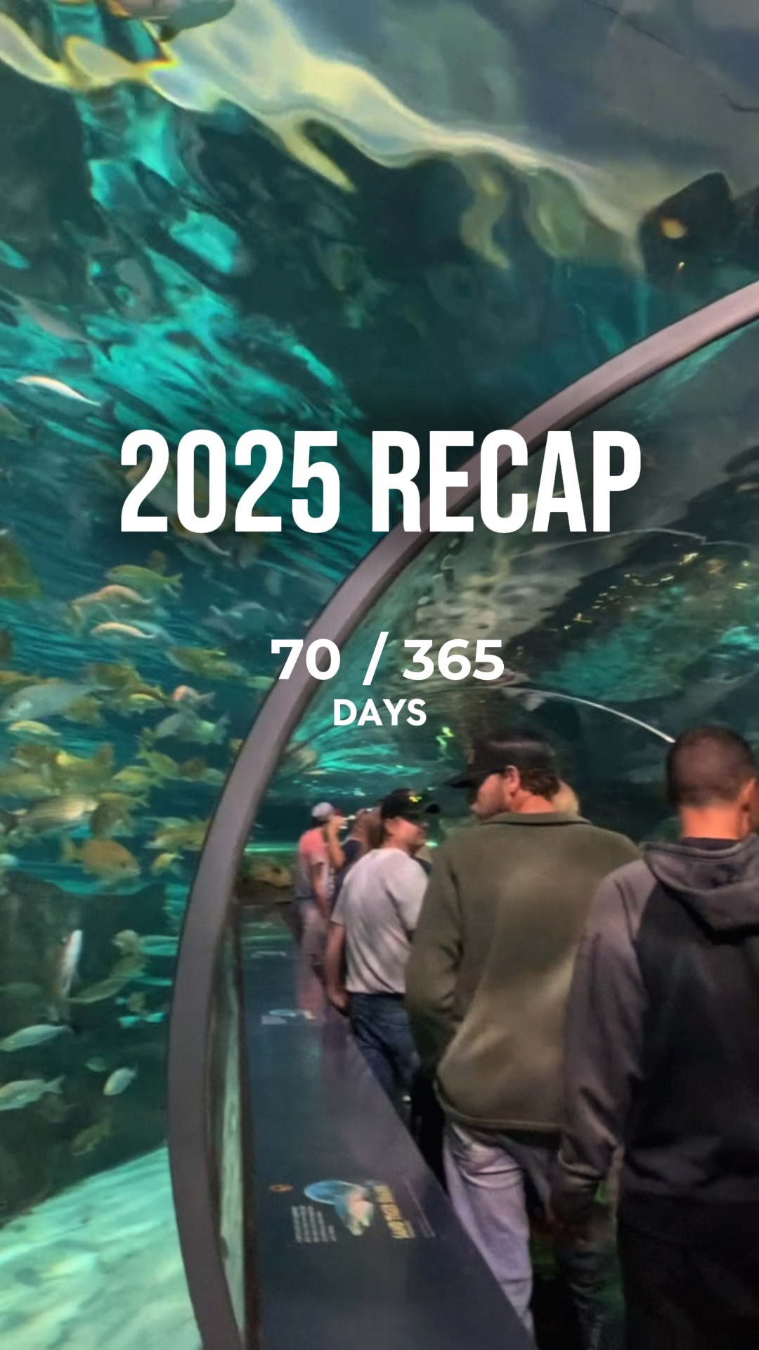 2025 recap 365 days
