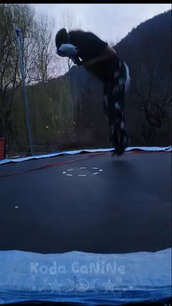ahhh trampoline!