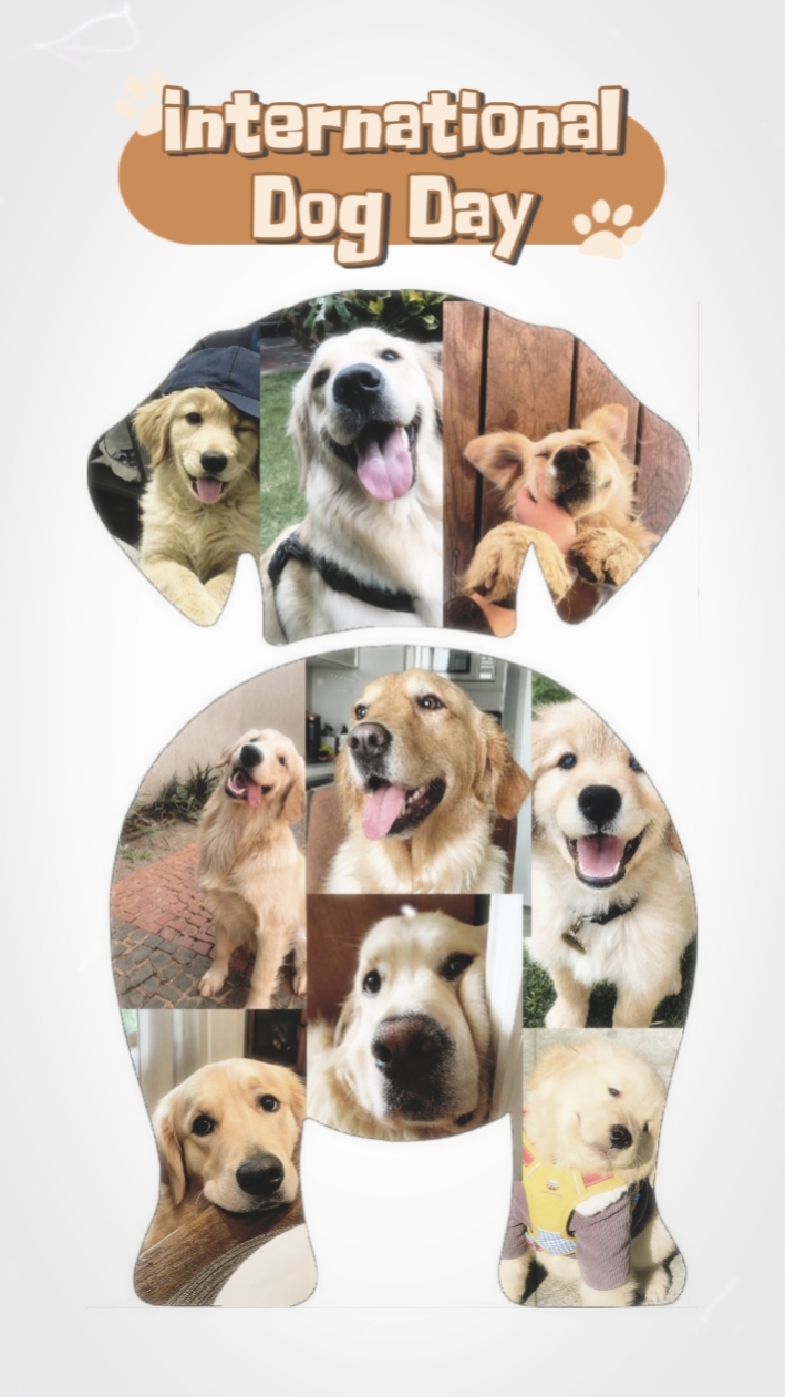 Dog Day