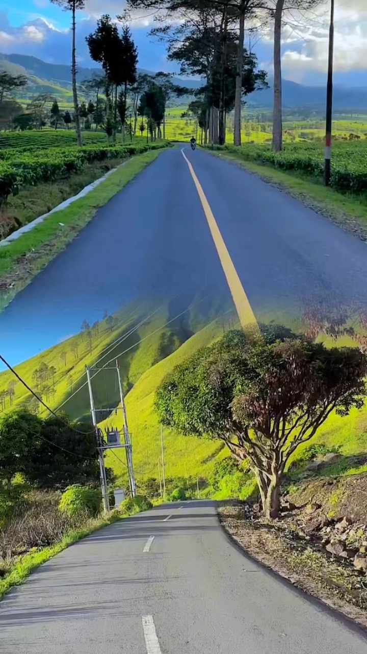 2 video in collage
