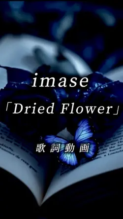 imase Dried Flower