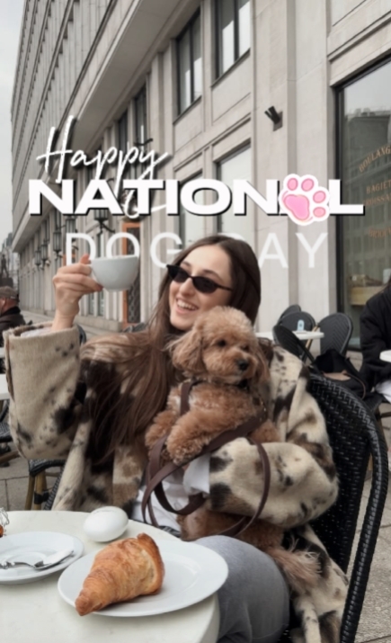 Dia nacional do cão