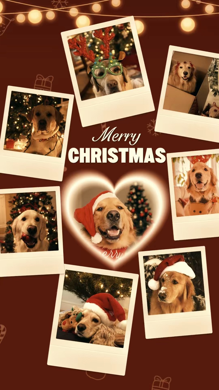 Feliz Natal Cachorro 