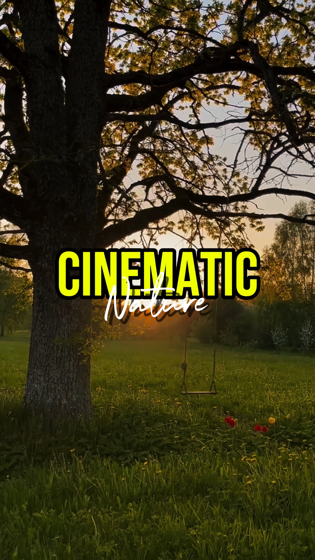 NATURE CINEMATIC