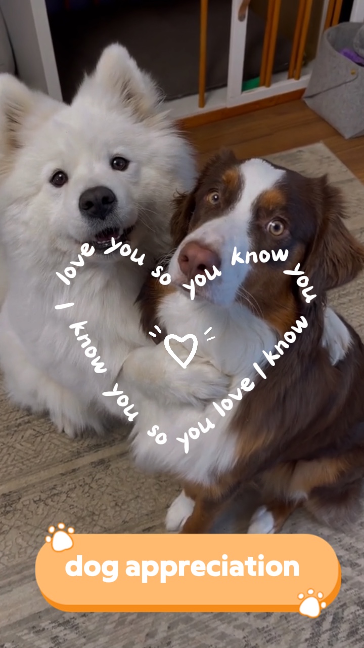 I love you so