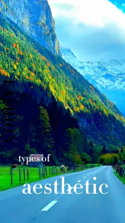 AESTHETIC  VLOG