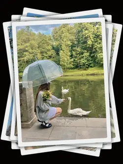 10Pic Clip Aesthetic