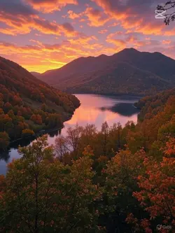 mükemmel şablon gldi