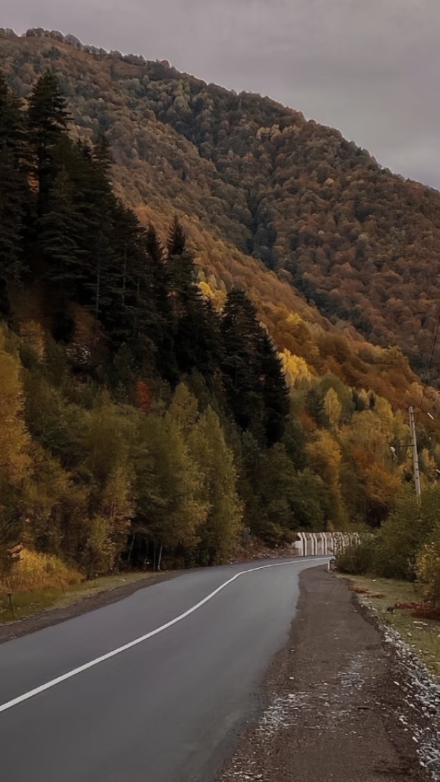 for the restofmylife