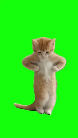 GREEN SCREEN MEME