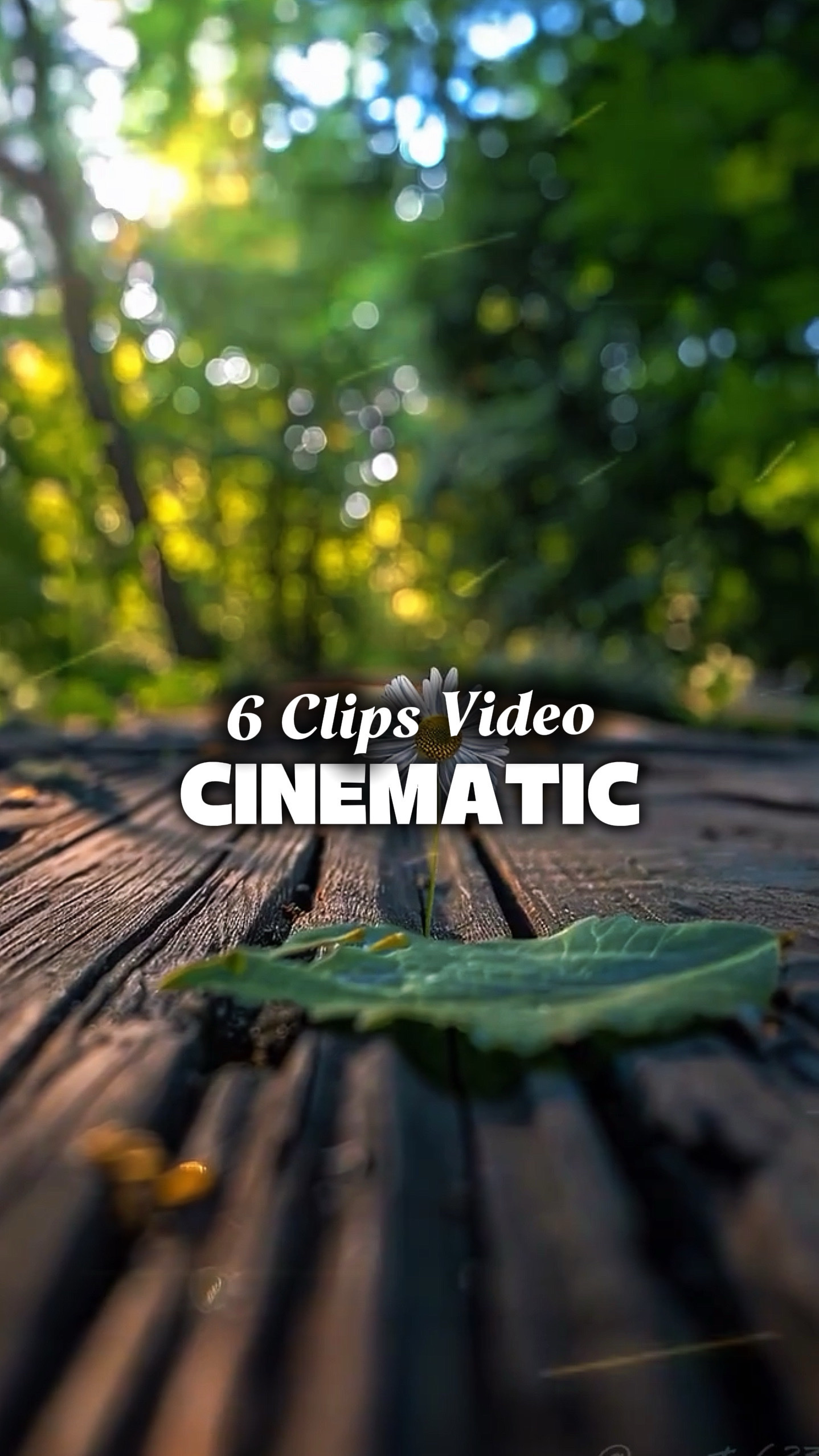 6 Videos Cinemáticos 