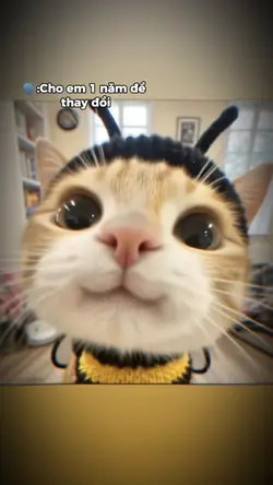 Phiên bản đã hết hạn