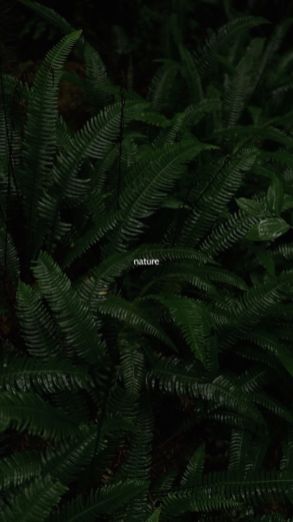 nature