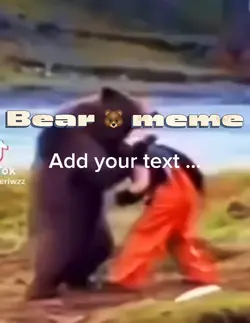 Bear meme 