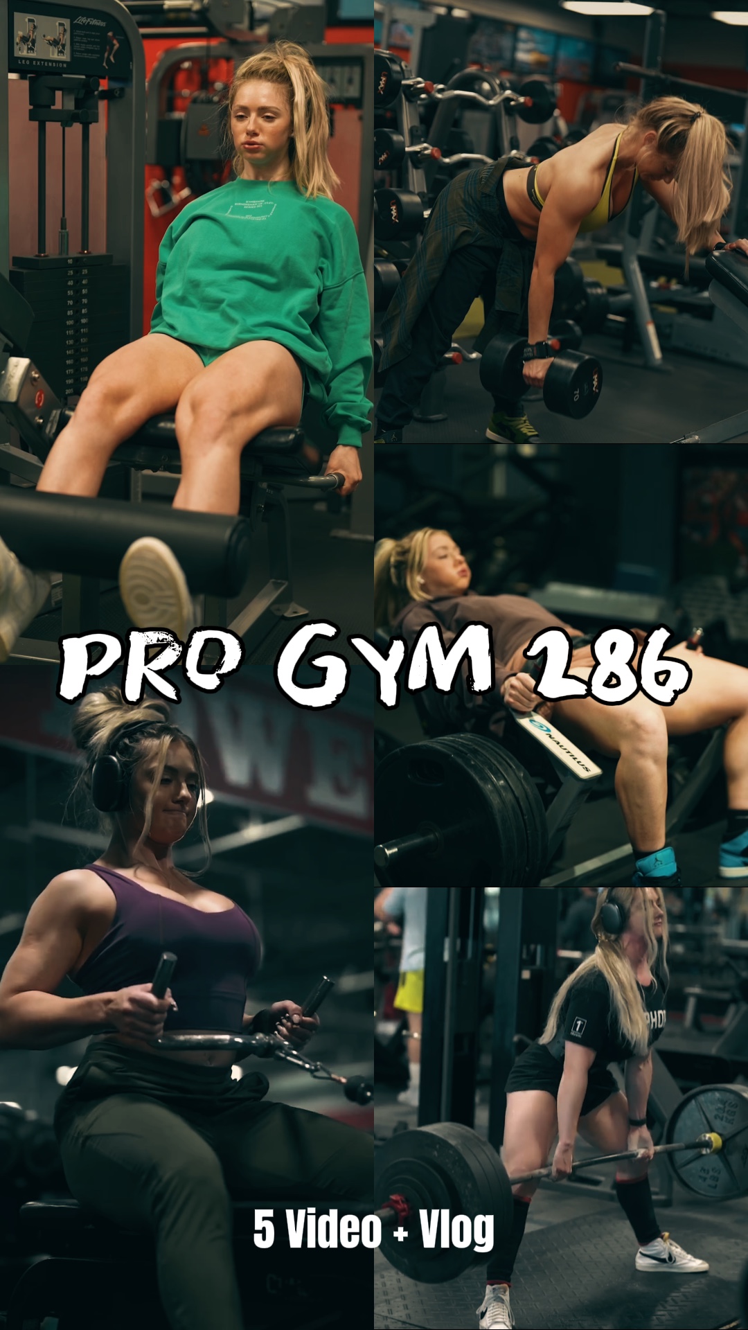 PRO GYM | 5 VIDEO