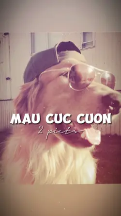 MẪU BEAT NHẸ NHÀNG 