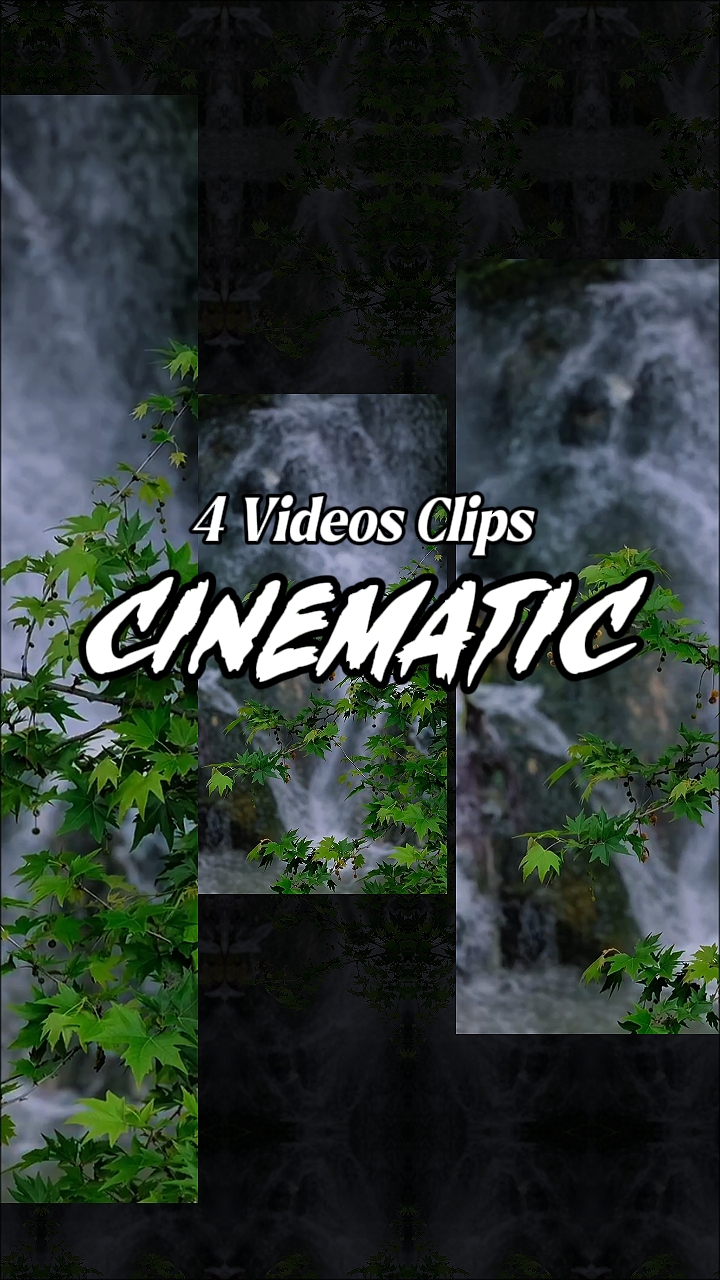 4 Videos Clips