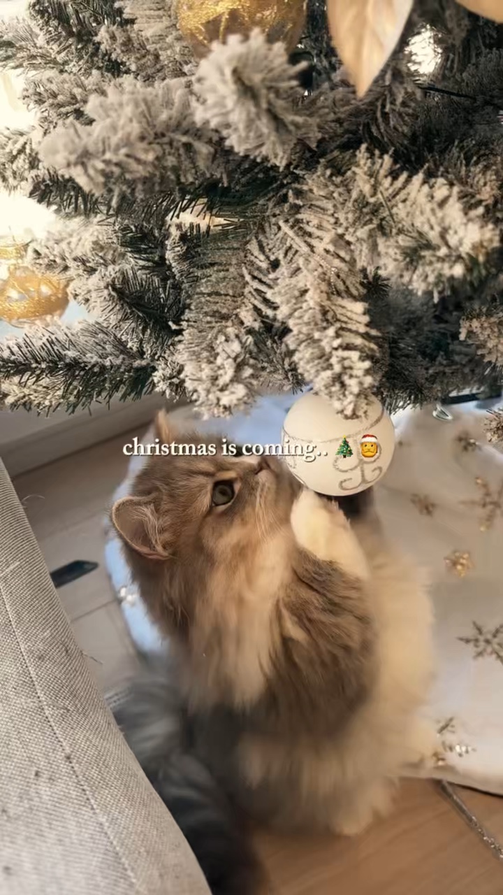Se acerca la Navidad🎄