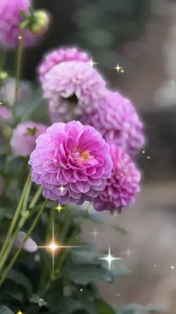 秋の日