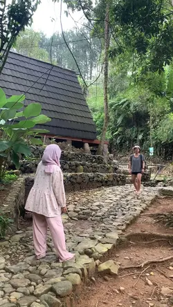 Plant vs zombie tren