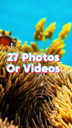 27 Photo Slides