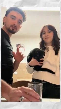 polite black cat