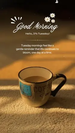 It’s Tuesday 🌼