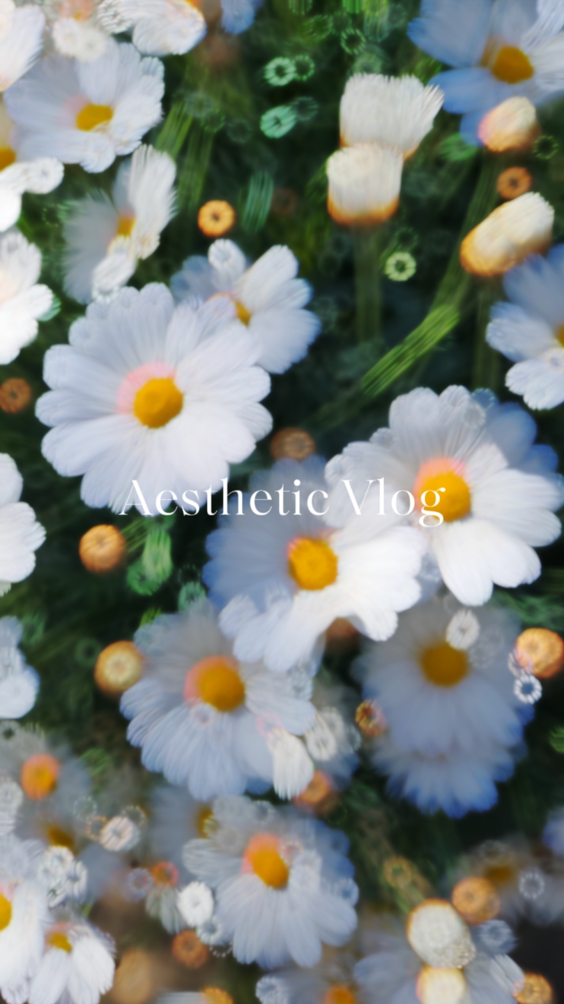 Aesthetic Vlog