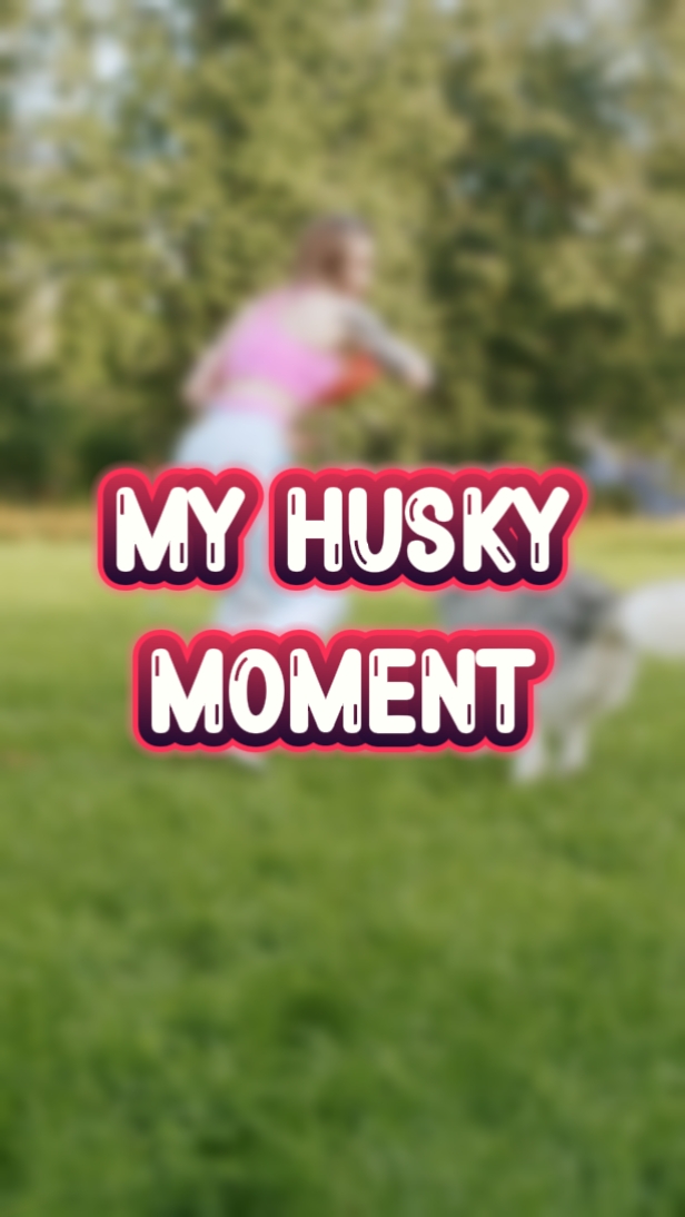 Mein Husky-Moment 