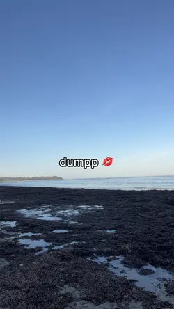 dumpp 💋