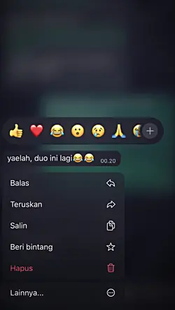 VER DUO