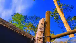 Wonderland Indonesia