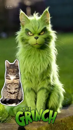 Pet grinch