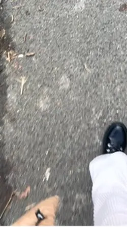 smash pumpkins 🙊🫤