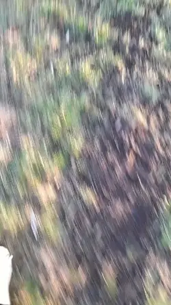 Renn|CrVentsbycharly