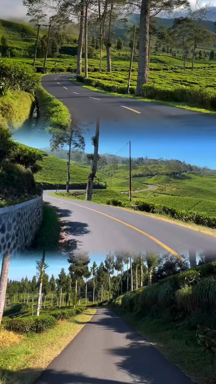 3 tata letak video satu