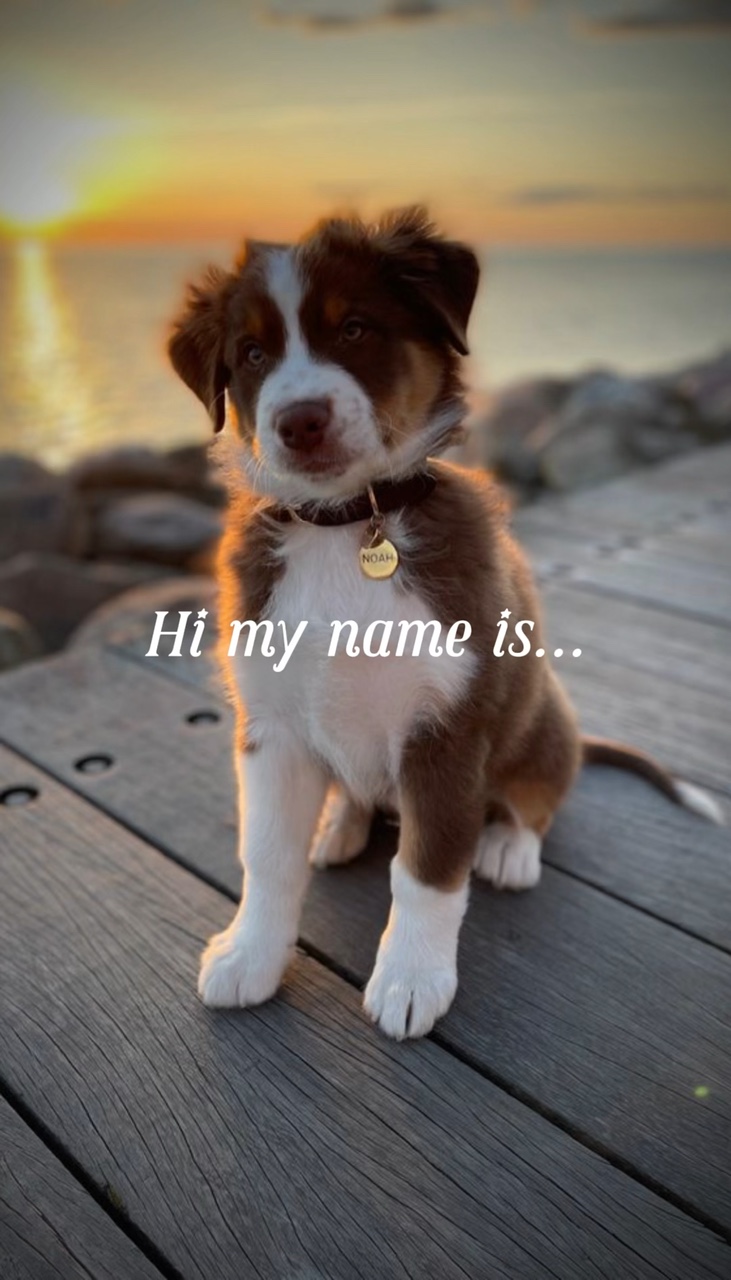 Name ist 