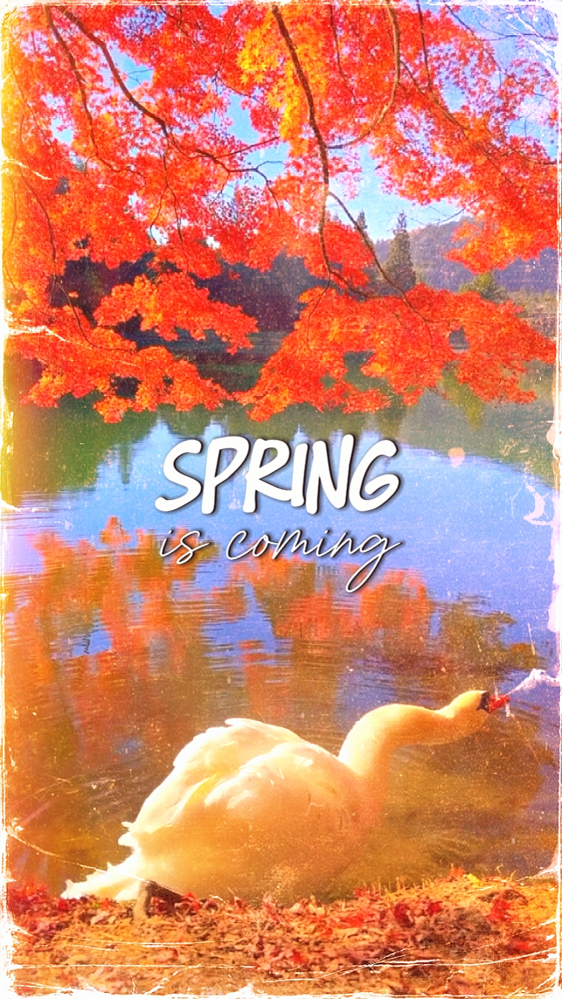 Der Frühling kommt