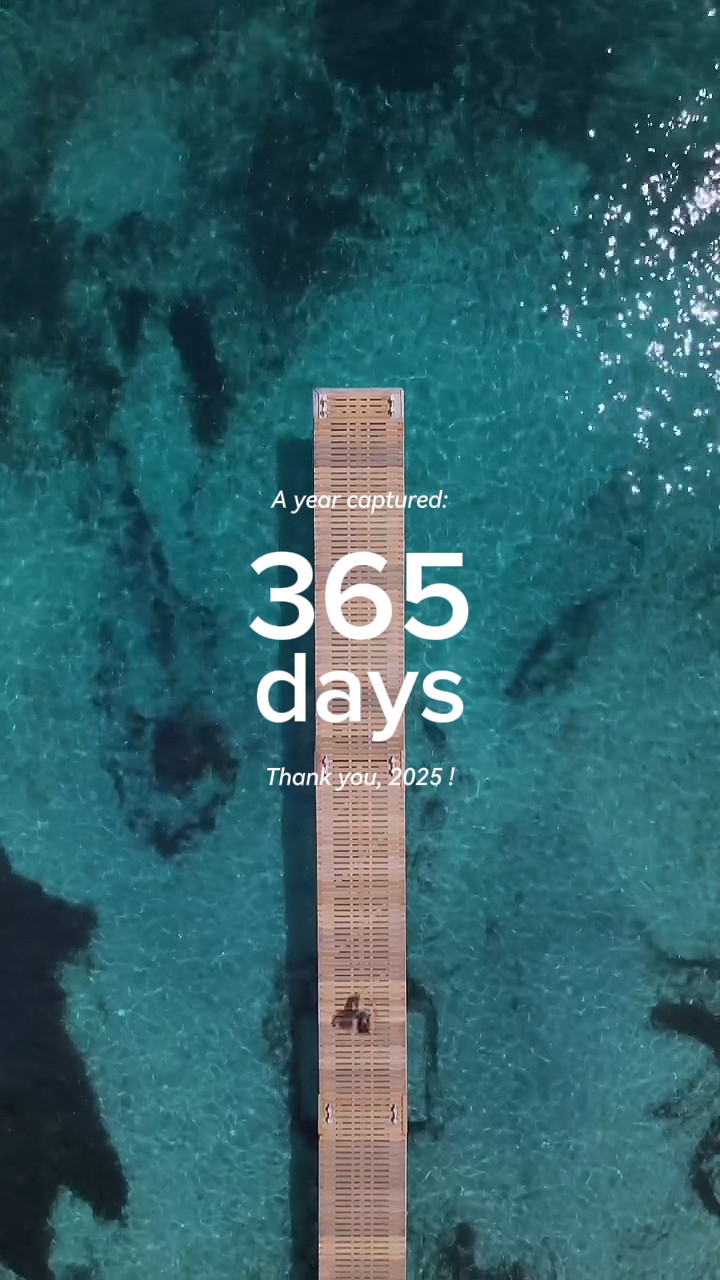 365 dias 2025
