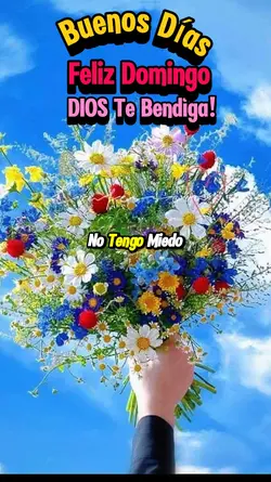 Feliz Domingo