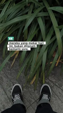 yg mekar hari ini