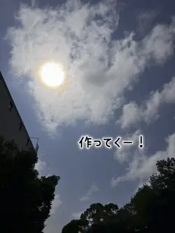 本日の夕飯