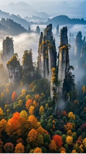 Attraction, Nature 