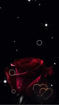 🥀AMOR BONITO ♥️