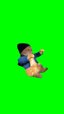 Cat Jamming Out