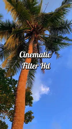 cinematic 