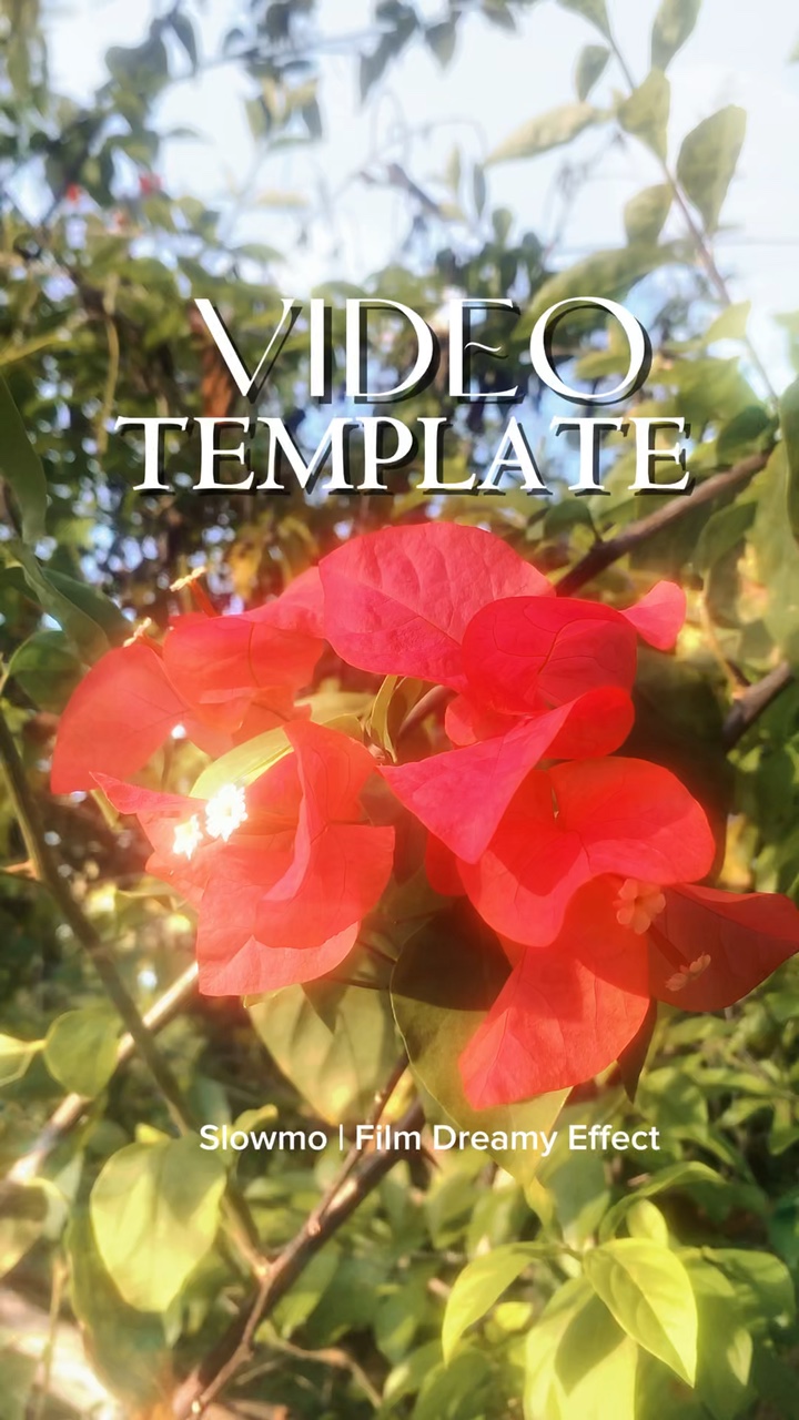 Dreamy Film Template