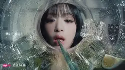 Sugar Honey Ice Tea